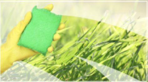 Green sponge on fresh grass